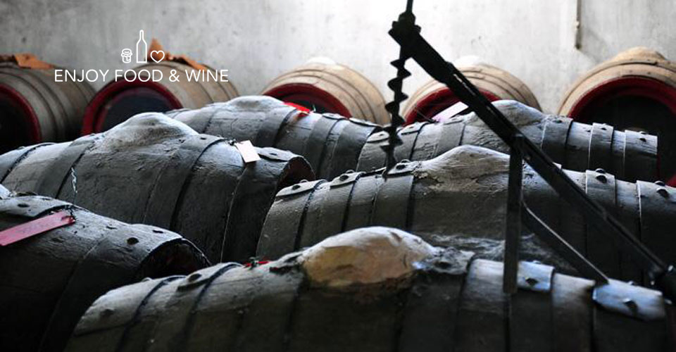 Foto delle botti usate per l'invecchiamento del vino della Cantina La salute - Enjoy Food & Wine