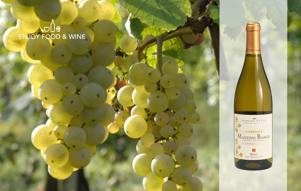 La recensione del Vino Manzoni Bianco per Enjoy Food Wine
