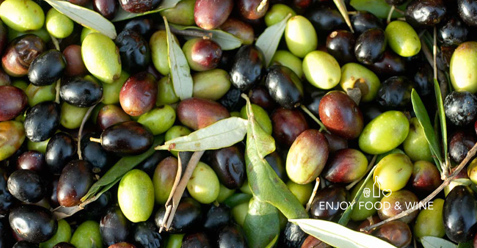 Riconoscere la qualità alimentare italiana olive da spremere - Enjoy food wine magazine