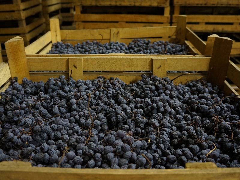 Cassa di uve Valpolicella dei vini pregiati veneti - EFW