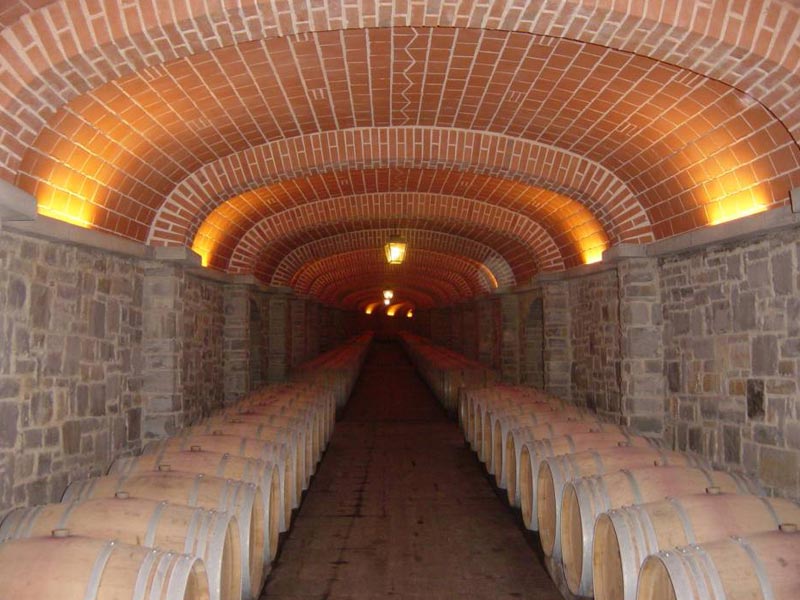 Migliori vini toscani e barrique di vino - EFW