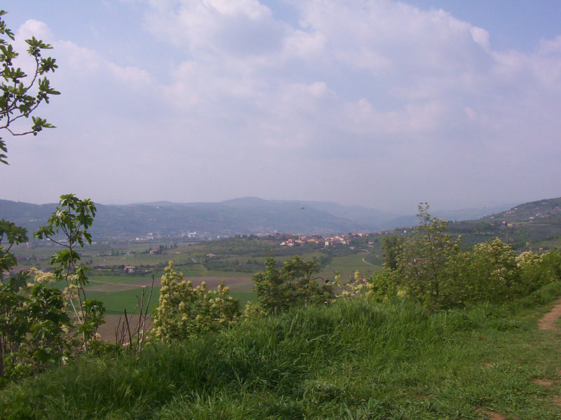 Strada del Valpolicella Panorama - EFW