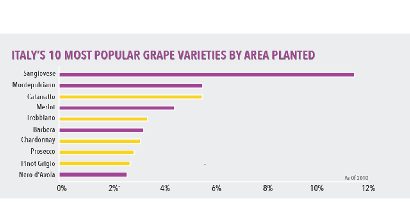 Grafico con vigneti e superficie regionale - Enjoy Food & wine