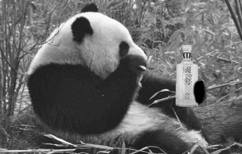 Panda con bottiglia di baijiu - Enjoy Food & Wine